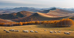 木(mù)蘭圍場(chang)-界河-烏蘭布統大(da)草(cǎo)原3日(ri)